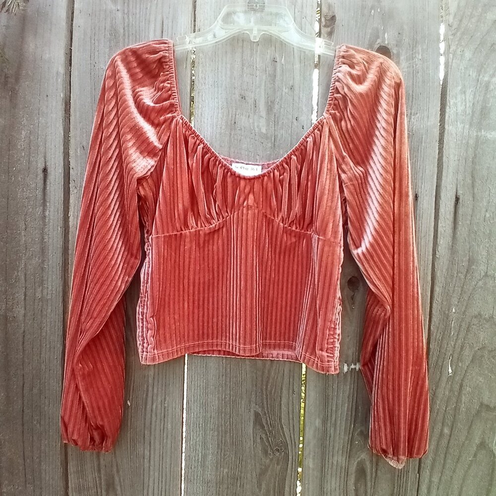 Sophie Rue Velvet Long Sleeves Crop Top M Mauve Color Scoop Neck Stretchy